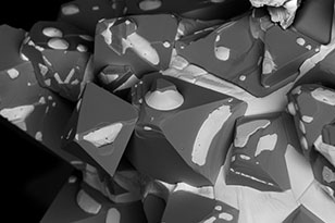 湛江湛江蔡司显微镜